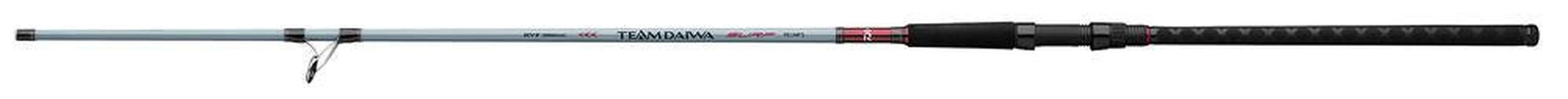 Daiwa Team Daiwa Surf Spinning Rods