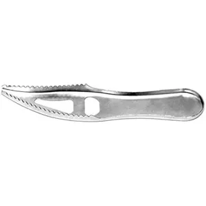 Danielson Fish Scaler 7"