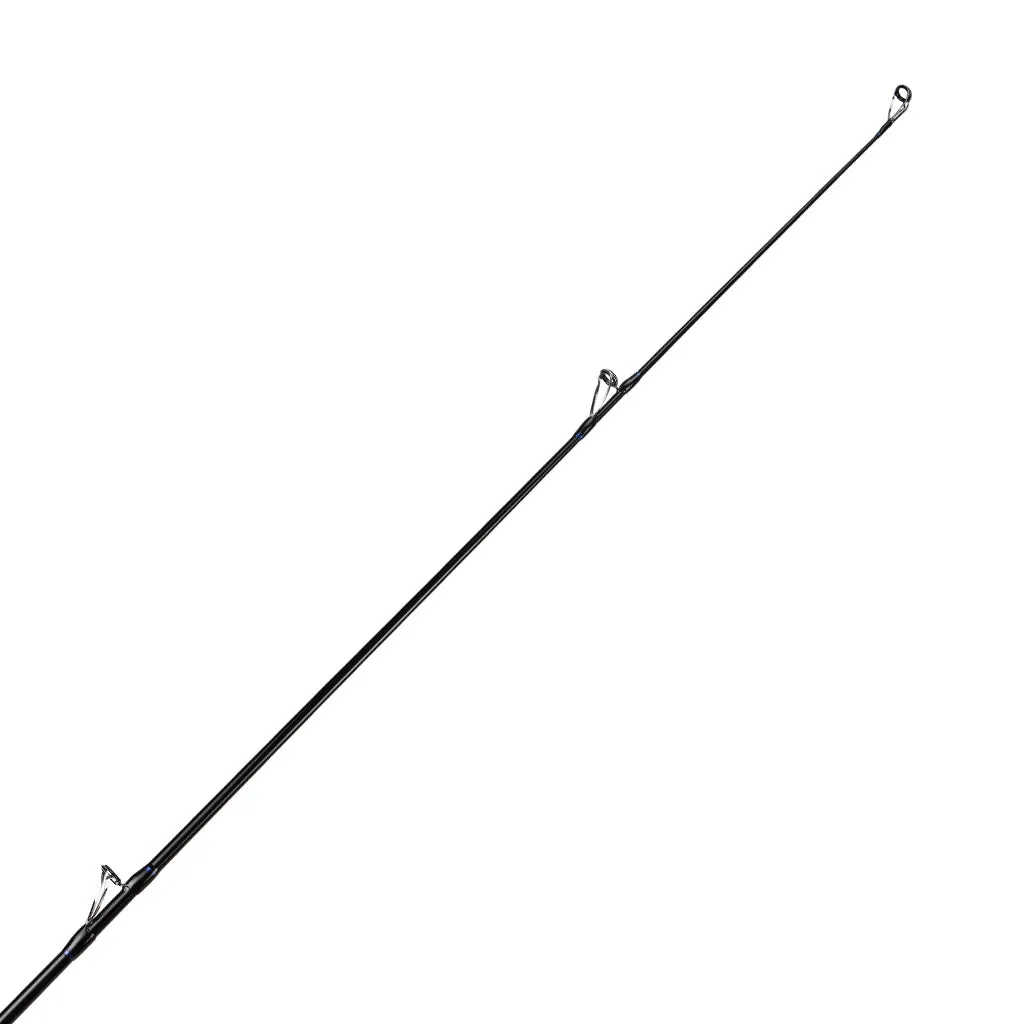 HCS Custom Surf Rods