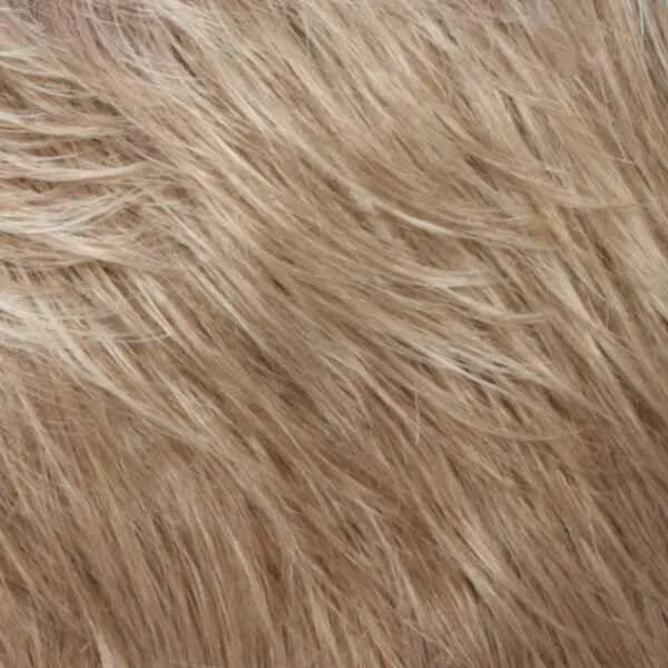 Illuminate Topper by Estetica Designs | Human Hair (Mono Top)