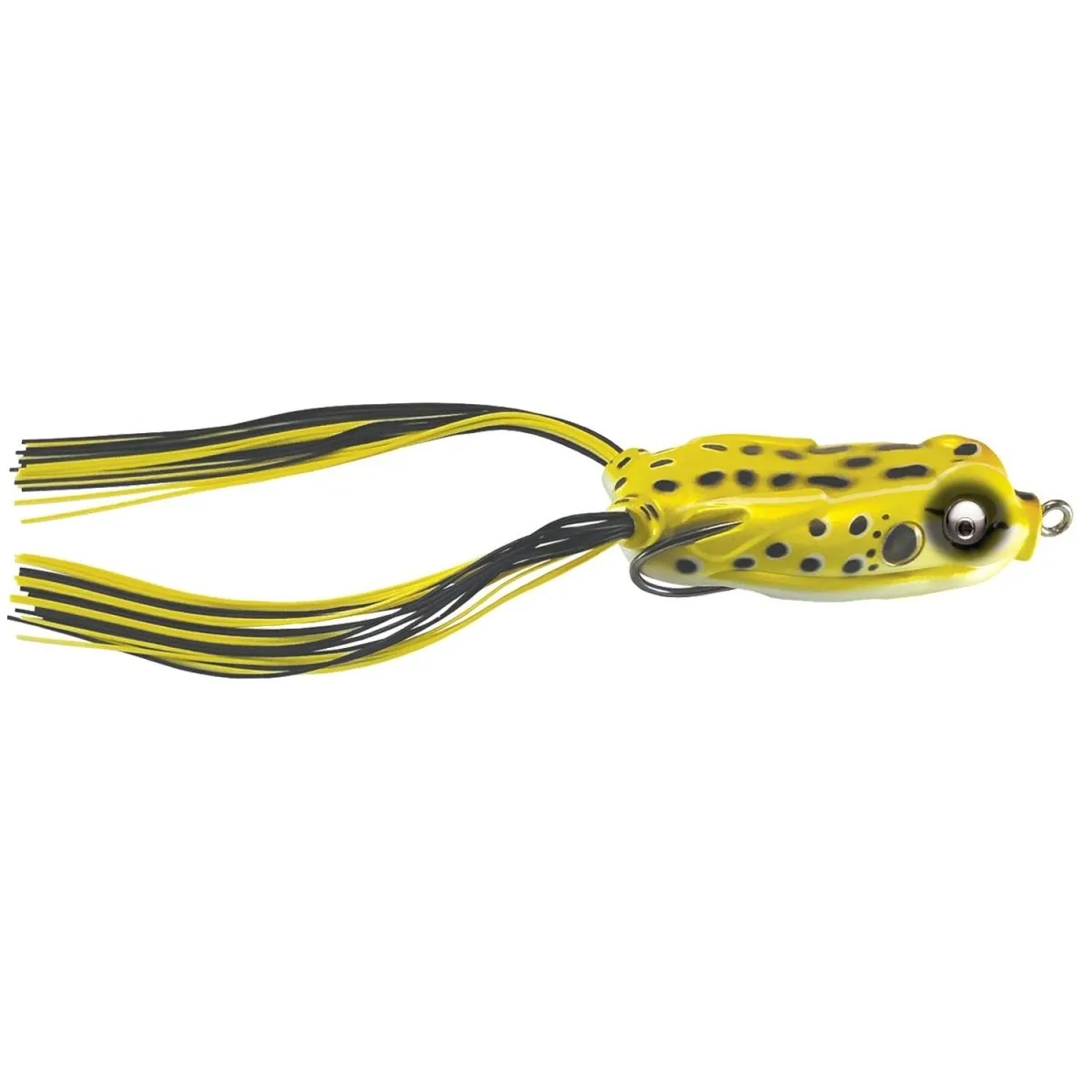 Kalin's Poppin' Rattlin' Google Eye Lily Stalker 2.5"