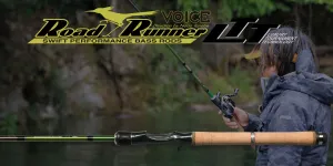 Road Runner Voice LTT